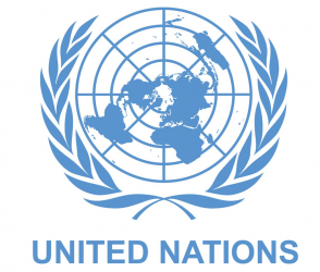 UN flag logo